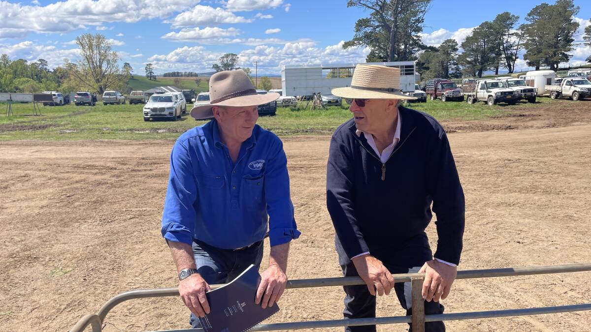 Among the many industry specialists who attended the Hazeldean Monaro rams sale were Gordon Litchfield, Gordon Litchfield Wool, Cooma and Yass, talking with Jock Laurie, Australian Wool Innovation chairman and seeking re-election to the board in the forthcoming AWI elections.