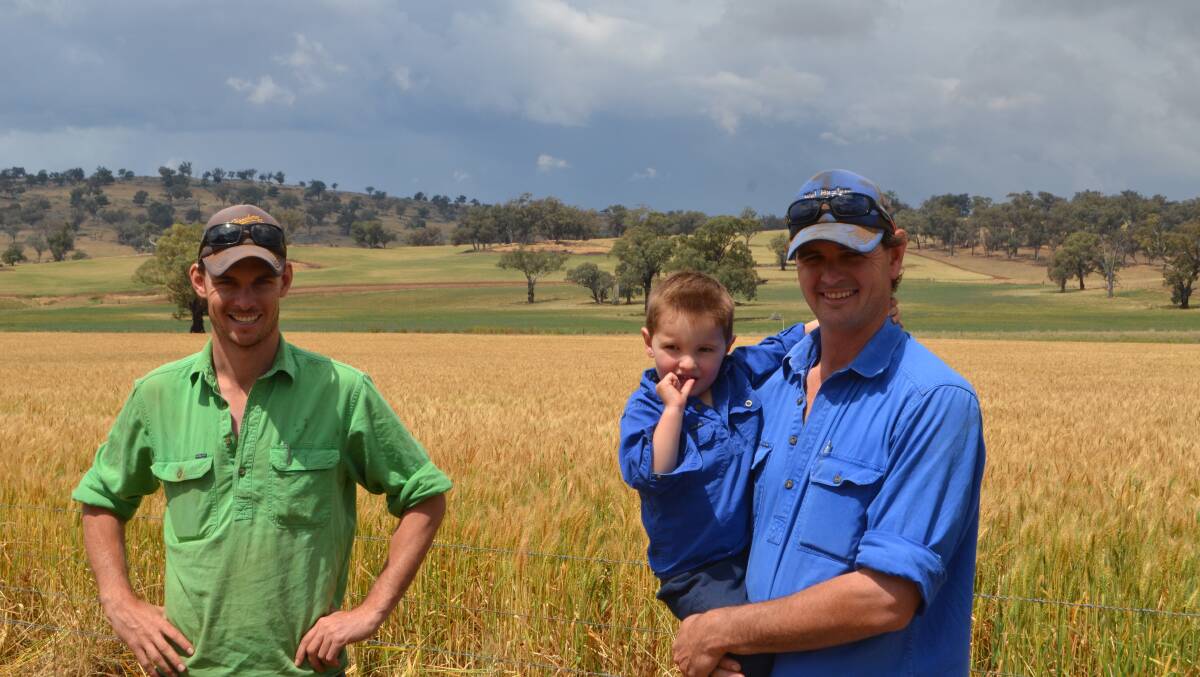 Berkeley, Campbell and Grahame Hardie preparing for a reasonable grain and canola harvest despite the tight season at Wallendbeen. 