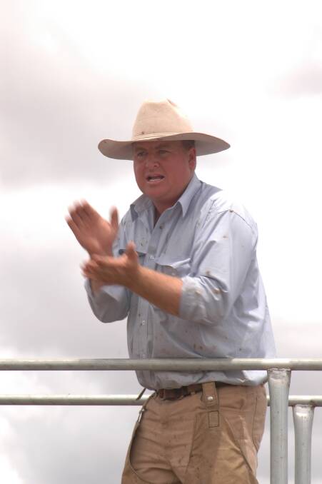 Mark Garland, PT Lord Dakin, Dubbo, in action during a cattle sale at Dubbo. Photo: Mark Griggs
