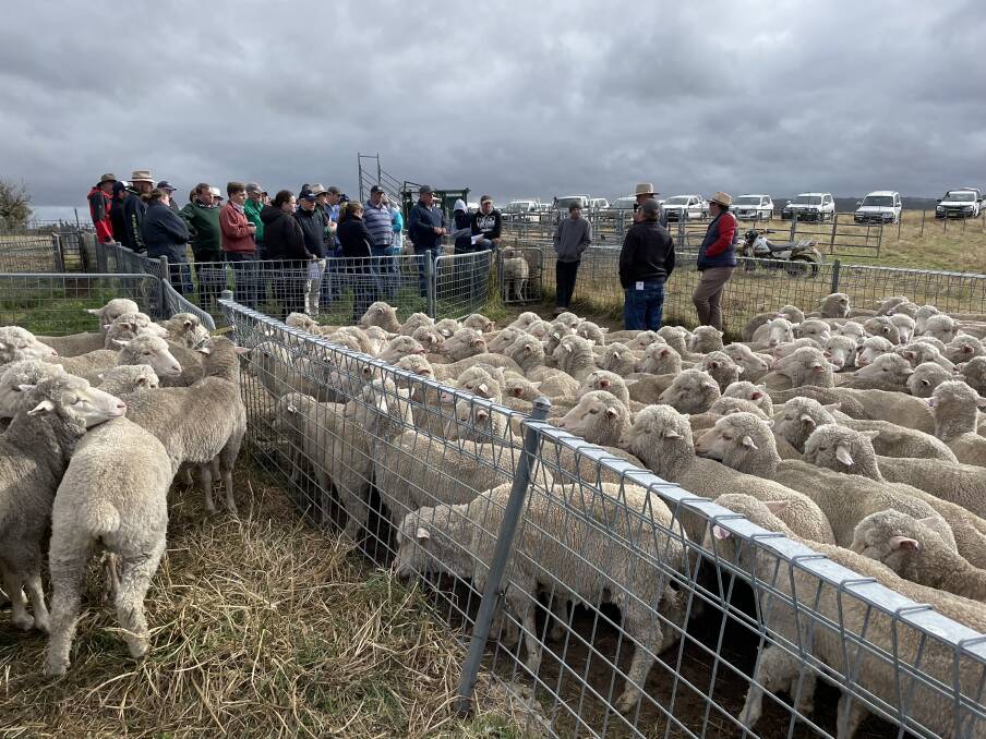 The second day opened under cold and cloudy skies at Pineville, Crookwell.
