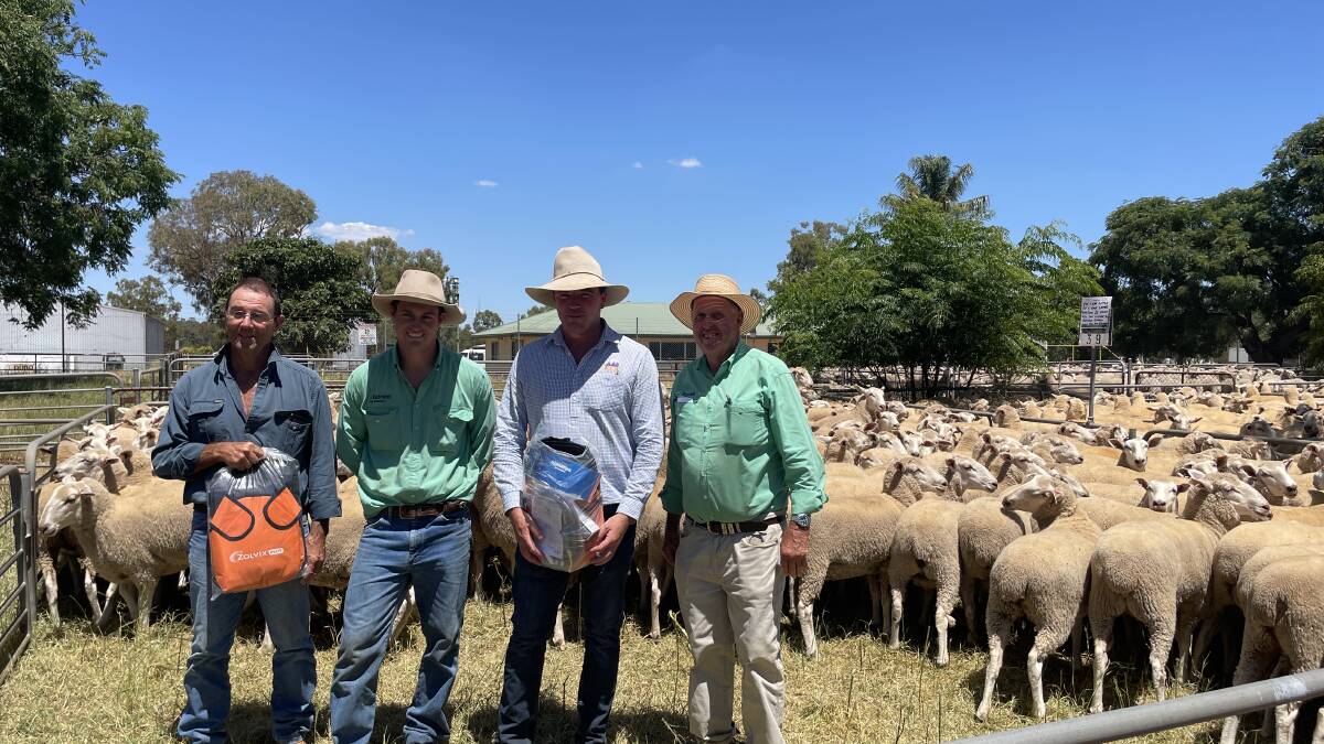 Vendor Paul Little, Grong Grong, sold first-cross ewe lambs for $274, Jaiden Burke, Nutrien, Narrandera, James Tierney, RLA Wagga (representing buyer) and Mick Martin, Nutrien, Narrandera. 