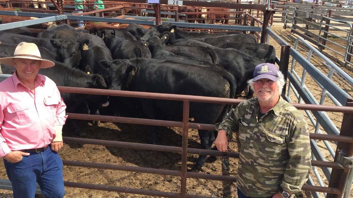 Tim Schofield, Elders, Cooma with Jim Murray, Moonbah who sold 12 yearling Hazeldean-blood Angus steers, weighing 440kg for $2050.
