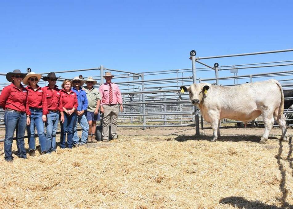 The top-priced bull with Dimity, Jacqui, James and Leanne Comb, buyers Tom and Brett Schiller, and auctioneer Peter Head, Elders Hay. Photo: supplied