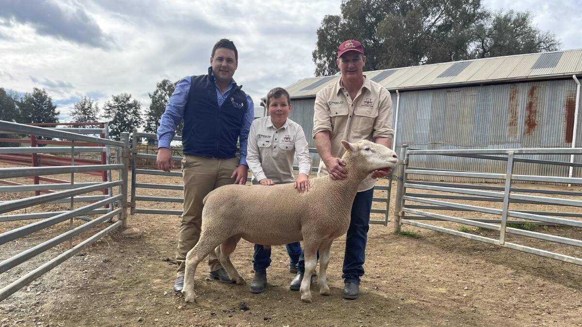 Auctioneer Murray Bullen, David Hill Livestock, Wodonga, with William and Rod Frohling, Hovell Aberdeen Poll Dorset stud, Burrumbuttock, and the top priced ram.