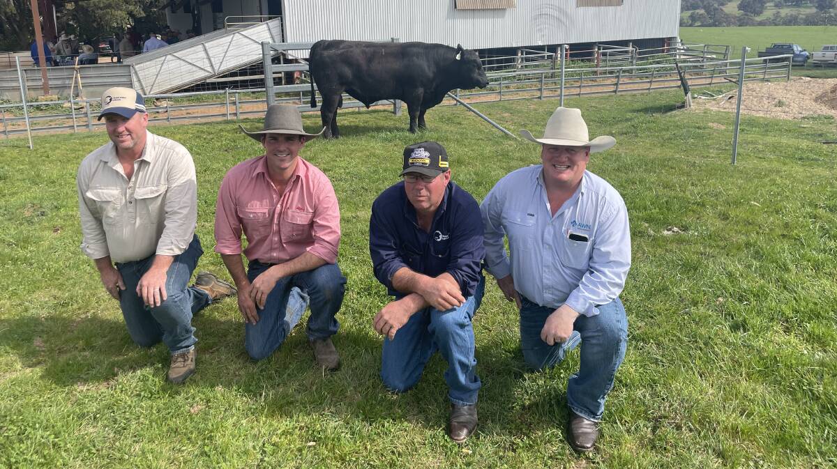 Crawford S384 sold for $14,000 and was donated to support the Hassett family. Buyers Ben Cooper, Dubbo, and Harry Lanarch, Bathurst, Luke Graham, Crawford Angus, and Tim McKean, AWN Wilks McKean, Wagga Wagga.