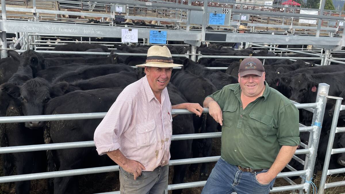 'Chippy' Boller, Boller and Co, Cooma, with Mick Flanagan, Jindabyne, and his pen of 10 Angus steers, 12-14 months and weighing 330kg sold for $2300.