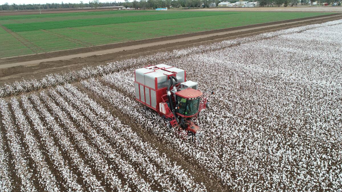 Best practice nitrogen and phosphorus management for sustainable cotton production