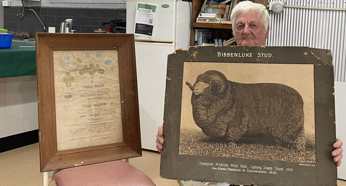 Arthur Wright proudly displays memorabilia connected to the family Merino stud. 
