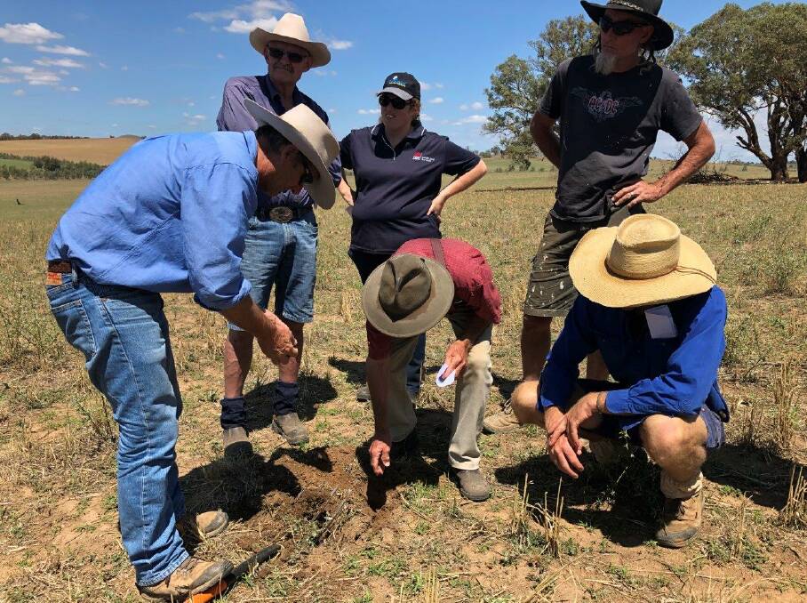 On-farm workshop near Galong led by Linda Cavanagh where paddock walks assessed ground cover and discuss the importance of diversity. 