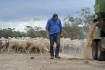 Farmer feedback sought for future drought assistance