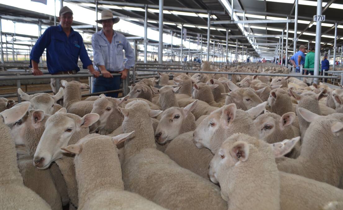 Michael Brayshaw, Binalong with Delta Young livestock agent Cameron Rosser and the 40 ewes Michael sold for $255.