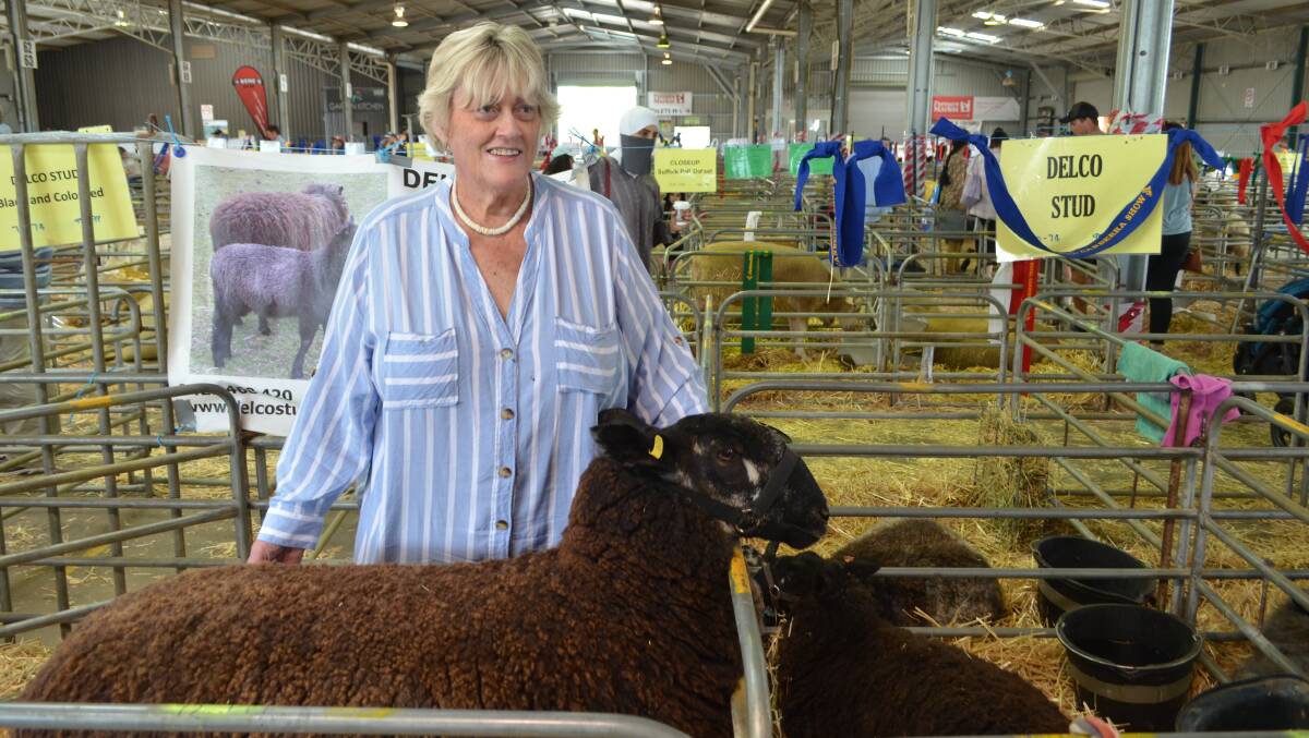 Terri Bertram, Delco Black and Coloured Border Leicester and English Leicester stud Bargo at the 2020 ActewAGL Royal Canberra Show. 