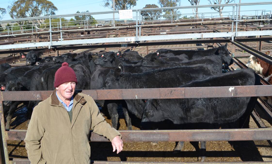 Pat Blewiit, Crookwell, with his 22 to 23-month-old Angus heifers pregnancy-tested-in-calf which sold for $1630 at Goulburn last Thursday.