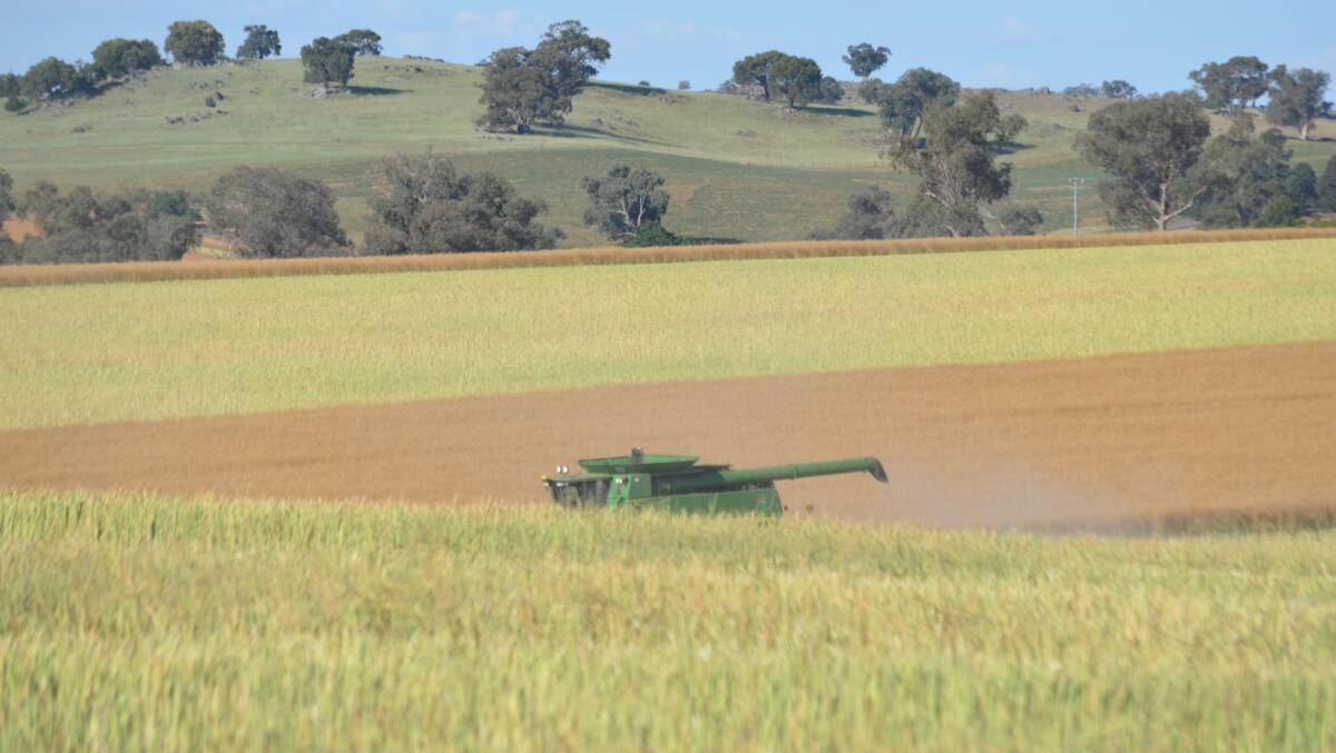 GrainGrowers encourages growers in drought affected regions to check their eligibility for FHA.
