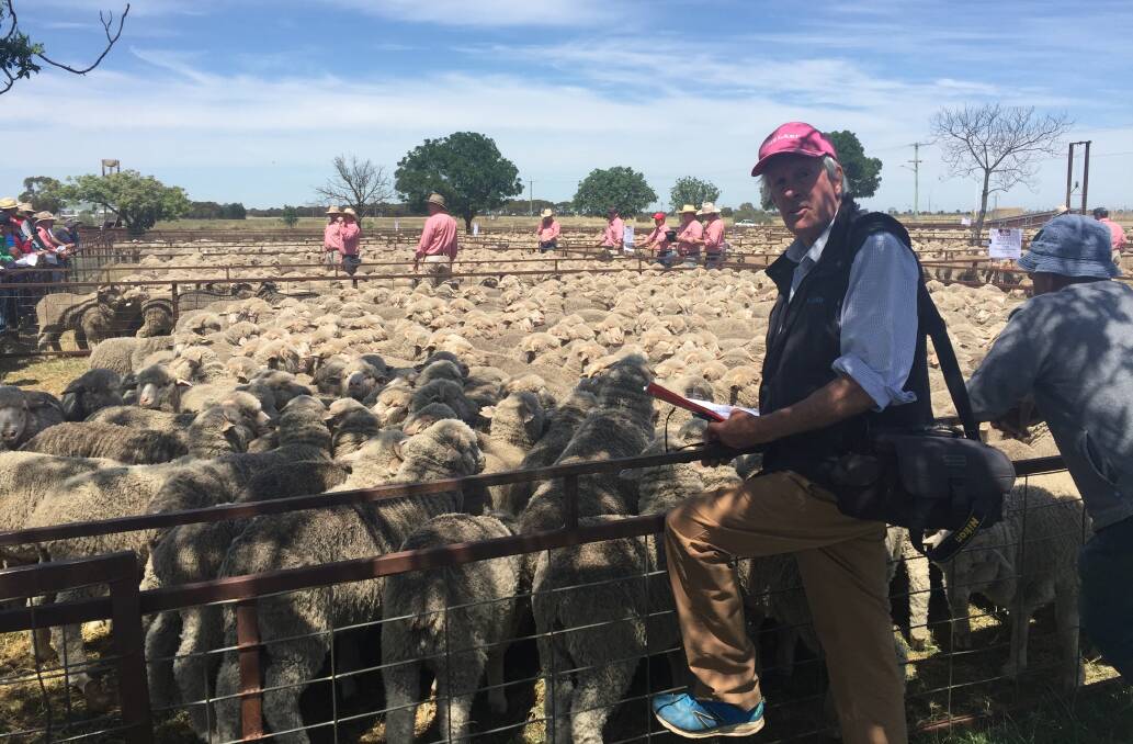The dusty pink hat was a familiar sight around the sale yards in 2020 - seen here at the Jerilderie sheep sale in November. 