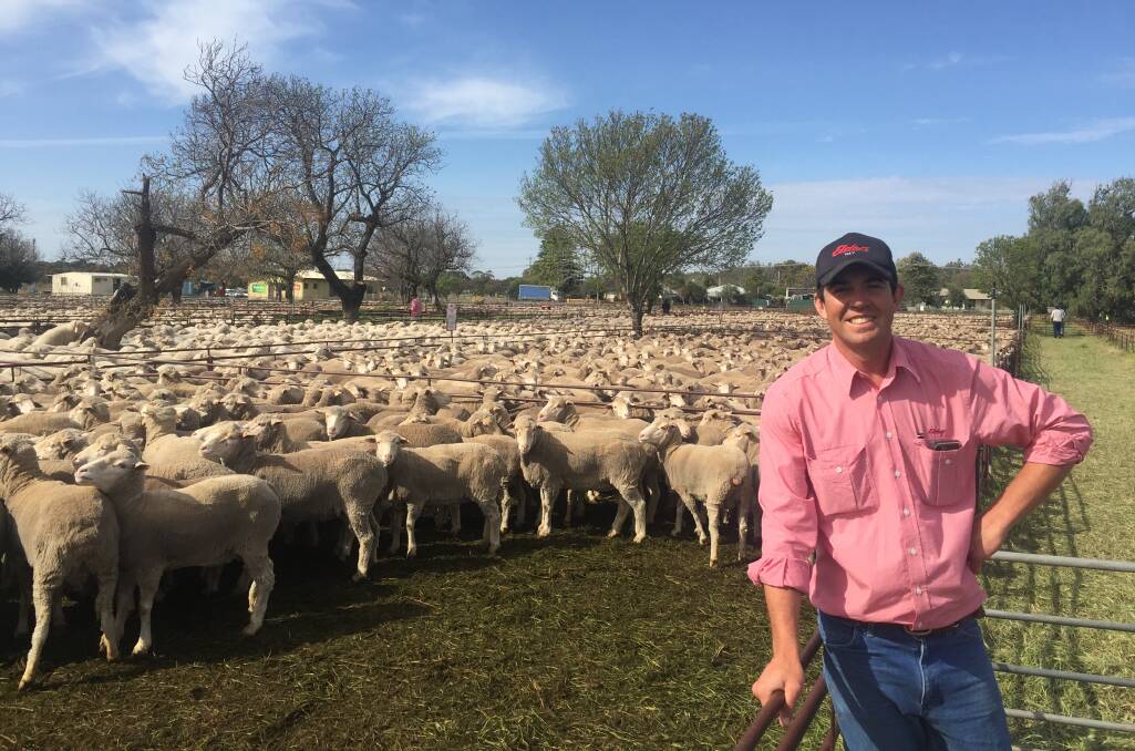 Elders Hay agent Andrew Low with 324 Merino ewes, April/May 2018 drop and July shorn, WoodPark Poll-blood sold by Budgewah Pastoral Company, Hay, for $324 a head at the Hay sheep sale last Friday.