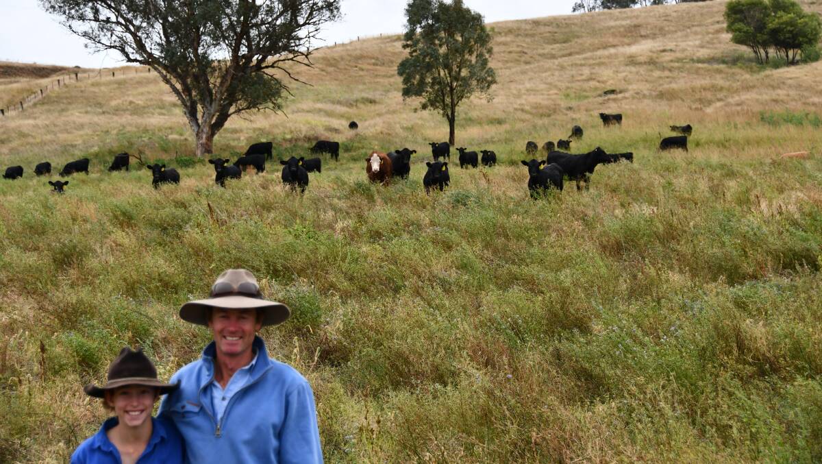 Nick Austin with his son Harry in a paddock where native grass species compliment introduced varieties and increase the biodiversity of his landscape. The growth is a consequence of his planned grazing management.