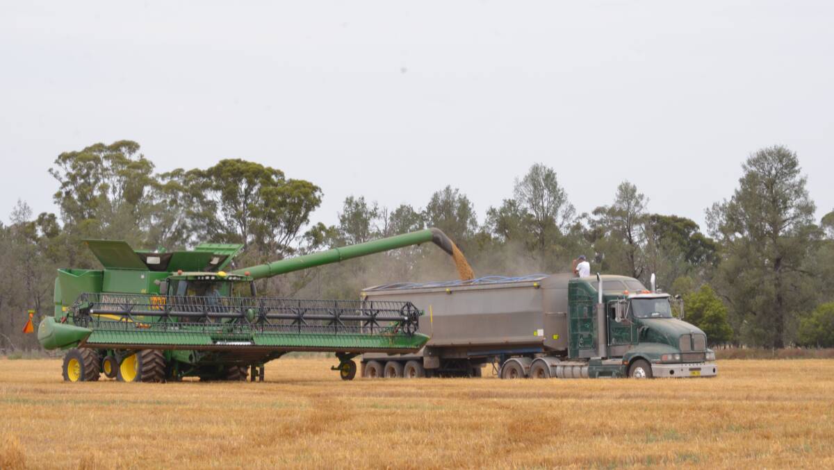 With crops showing great potential, grain growers are calling out for staff to bring home the harvest.