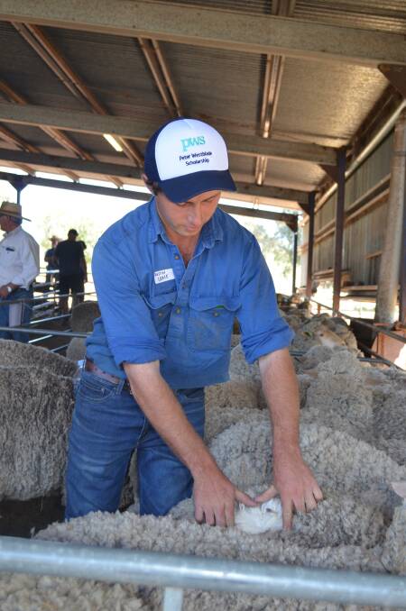 Austin Grace pursued his passion for Merino sheep when jackarooing at Egelabra, Warren after leaving school.