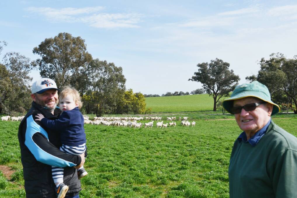 Brian McKelvie (right) at Misty Hills, Marrar, with his son Damien and grandson Lachlan and their maiden Australian White ewes.