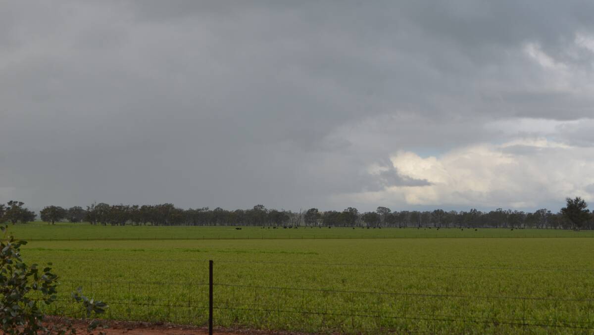 Storm clouds over cropland near Culcairn. What does climate variability mean for farm enterprises towards 2030? That is the focus of the workshop to be held at Frogmore.
