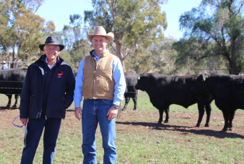 Mac Whitehouse, Coolie Angus and Simon McKittrick, Logical Livestock, Mudgee with the top priced bull after the sale.