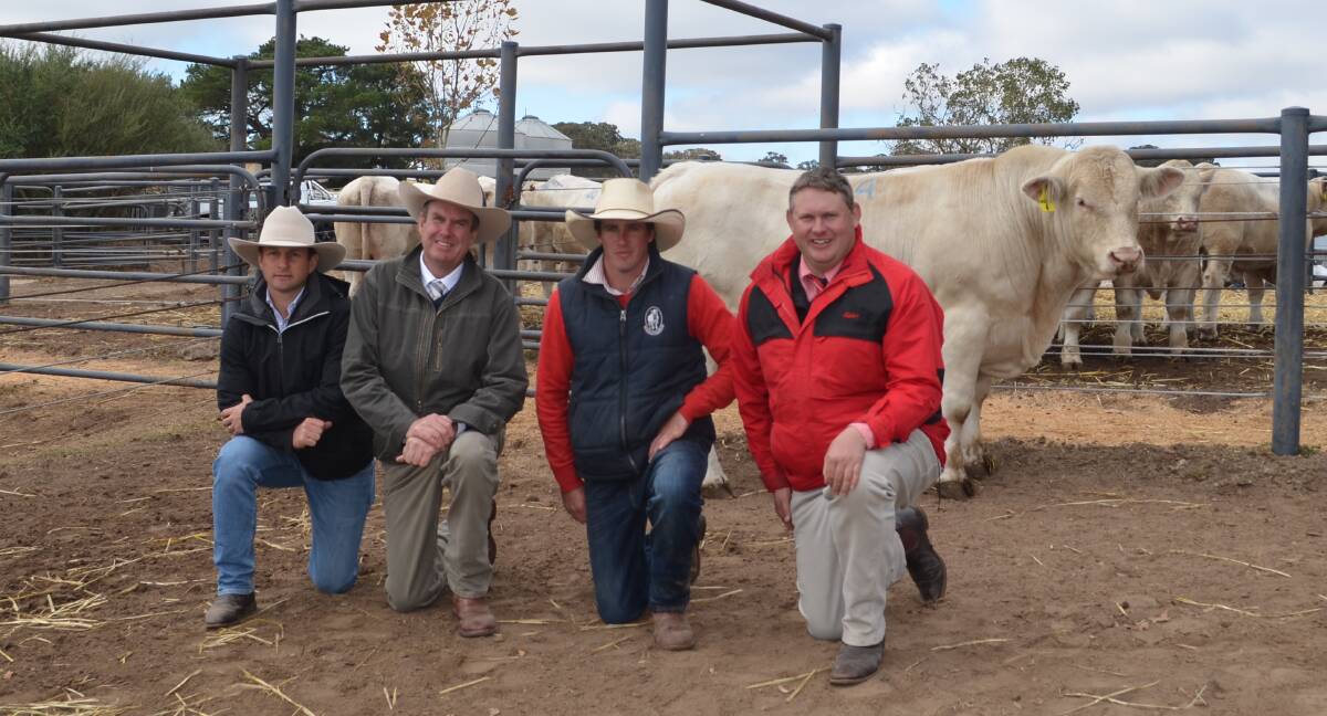 Ben Noller, Palgrove Pastoral company, Dalvean Queensland, auctioneer, Paul Dooley, Rosedale co-principal, James Millner and Andrew Bickford, Manager Elders Bathurst with the $17,000 top priced bull Rosedale Mercado.