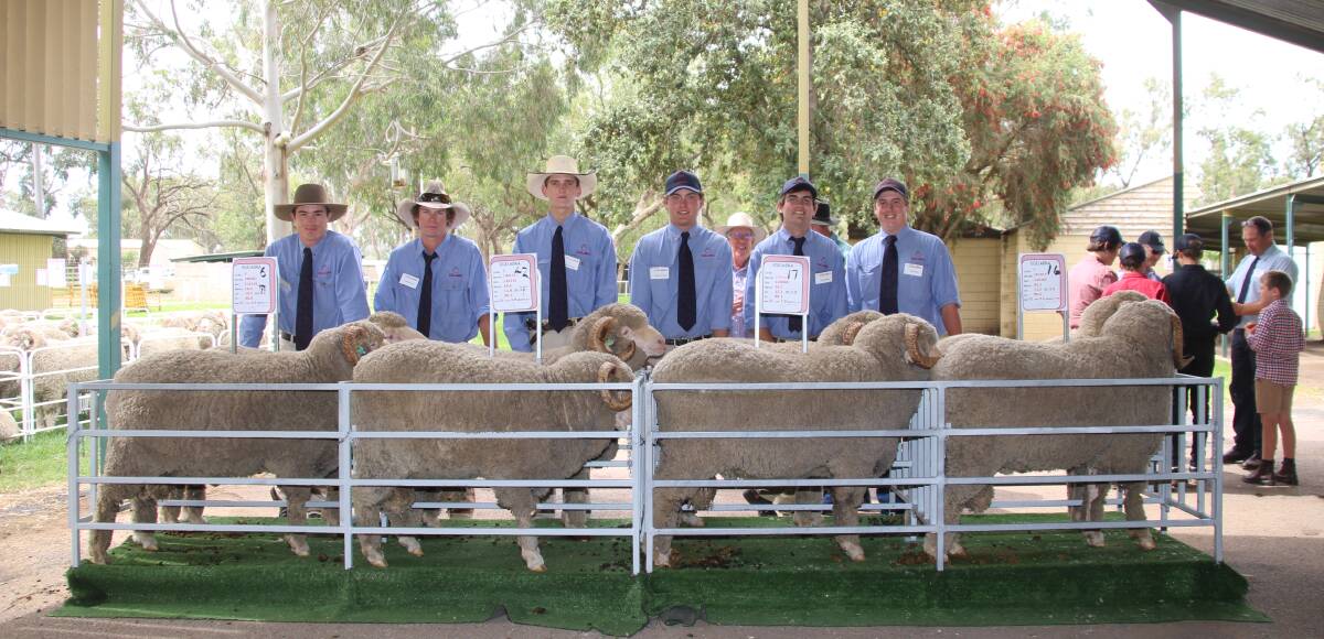 The jackaroo team from Egelabra, with the specially selected rams on offer, this is one of the few jackaroo teams who are run in the modern age of sheep farming.