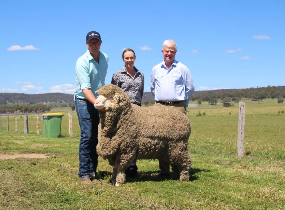 Hayden Cox holding the top priced ram with Rebecca Cox, Bocoble Merinos and John Croake, AWN Livestock.
