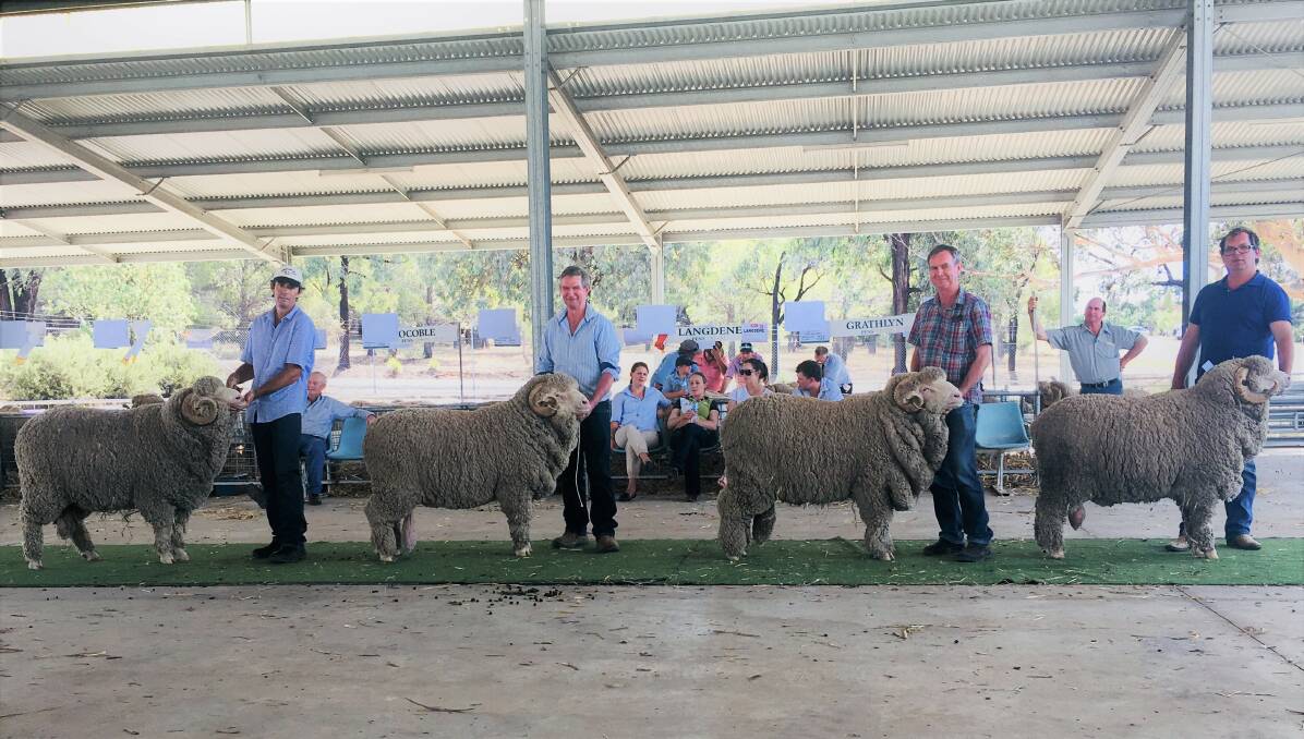 Nick Seis, Winona, Patrick and Andrew Davis, Demondrille and Andrew Rayner, Grathlyn, in the Cameron Cox Memorial trophy supreme ram lineup. 