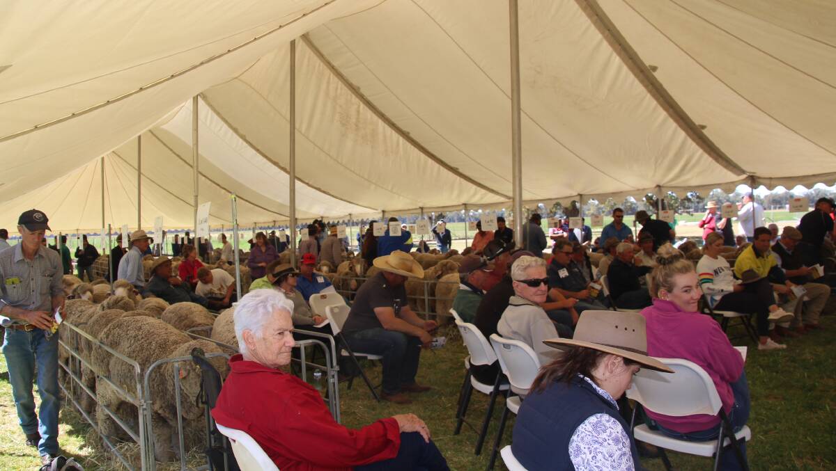A packed marquee saw great clearance and bidding wars for the Lachlan Merinos 14th annual on-property sale.