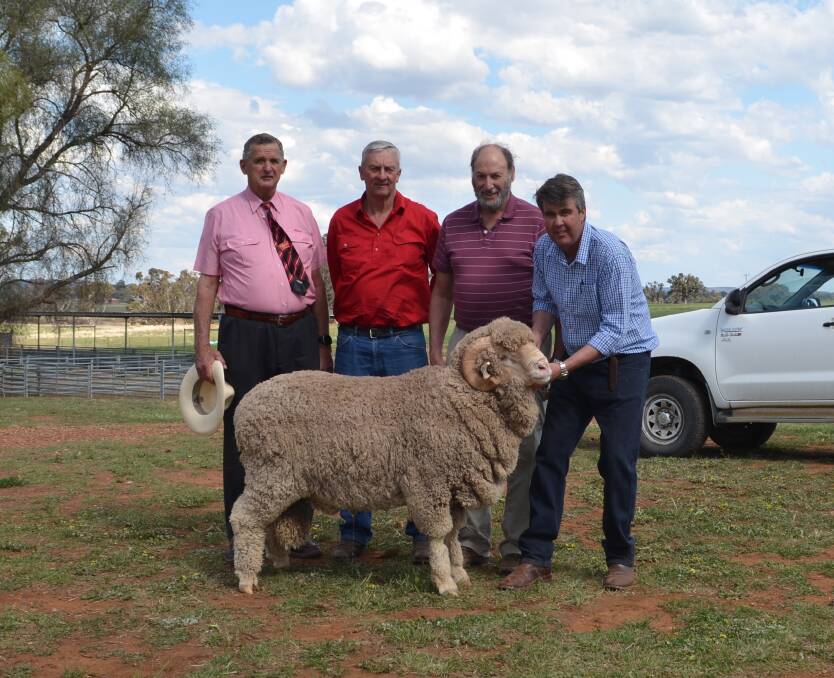 Andy McGeoch, Elders auctioneer, buyers David Zouch, and Ken Wolf, Hollow Mount Pastoral Company, Bigga, and Garry Cox, Langdene stud, Dunedoo, with the $9500 top-priced ram who weighed 118 kilograms on sale day.