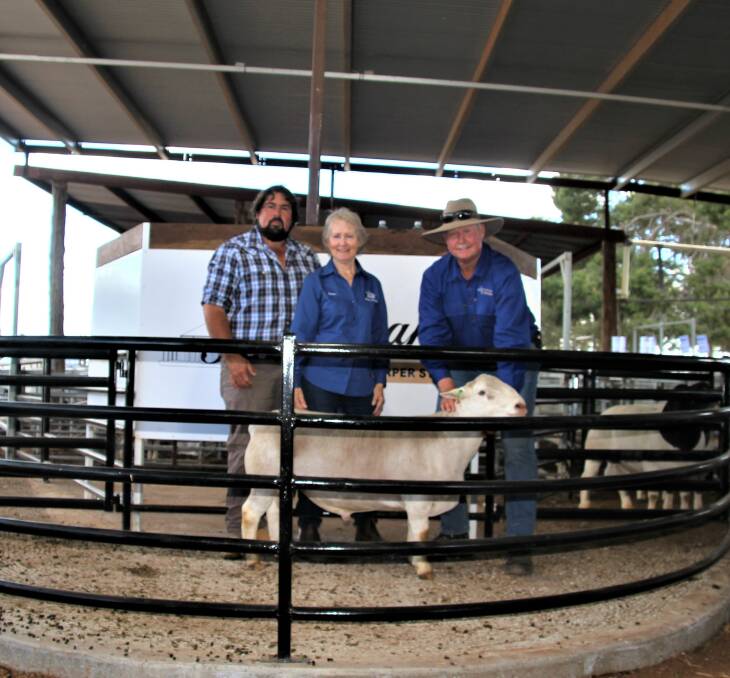Benjamin Stanford, stud manager and Susan Law, Matchless White Dorpers, with Burrawang's Wicus Cronje and the $24500 top priced White Dorper ram.
