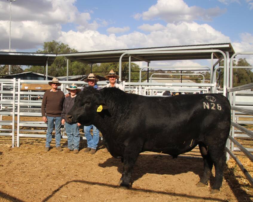 Robert, Riley and Nathan Telfer, Merriwa with Hugh Kraefft, Tivoli Angus with their $6000 bull.