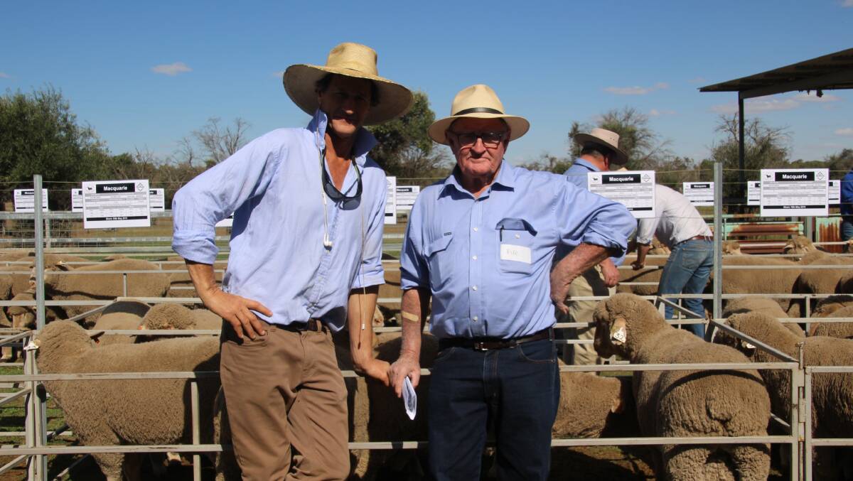 John Naden and one of the volume buyers Michael O'Brien, Come-By-Chance, inspecting the sheep.