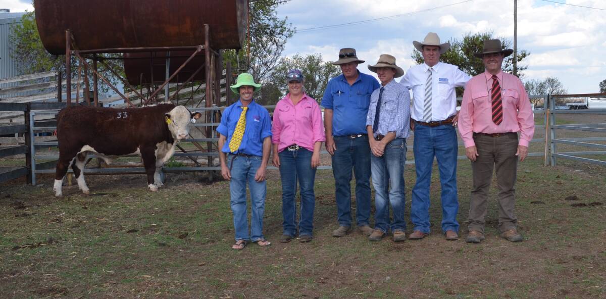 Charlie Martin and Aimee Porter, Dalkeith Herefords, Phillip Redding, Alto Rural, Jamie Stuart, Milling Stuart, auctioneer Paul Dooley and Elders' Brian Kennedy.