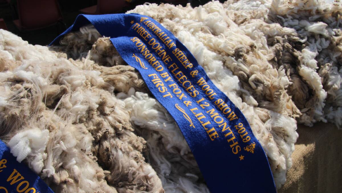 Some of the award winning fleeces from the Macquarie flock.