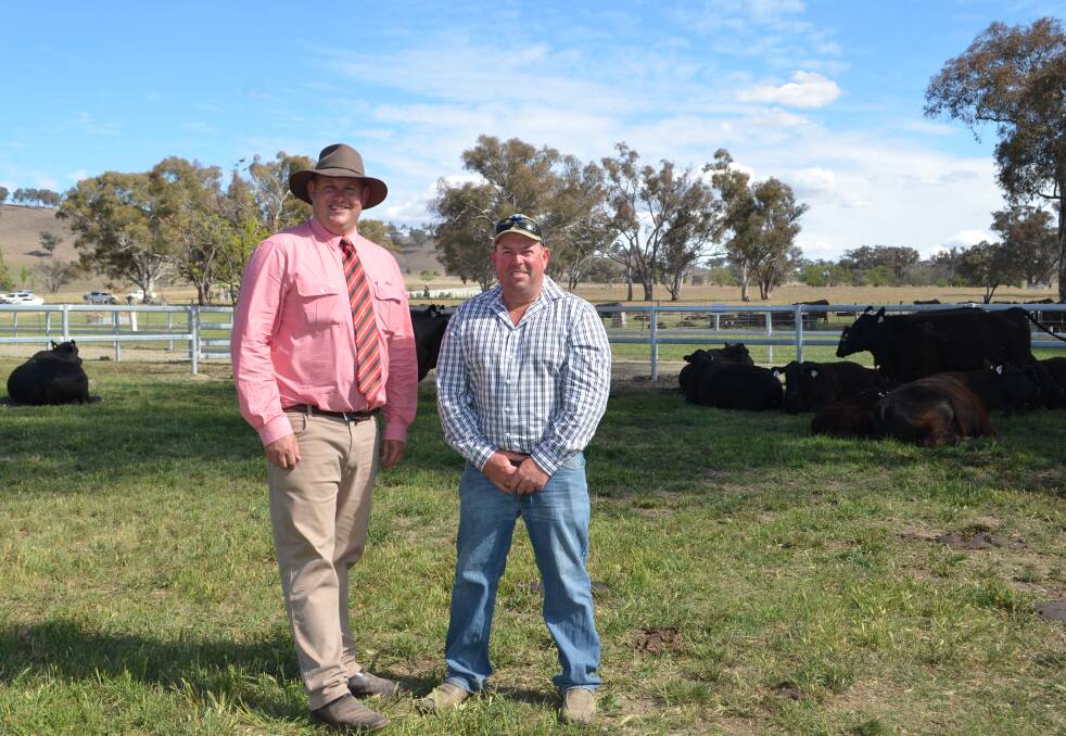Andrew Bickford, Elders Bathurst, with Damian Gommers, Mandayen Angus, Keith, South Australia. Mr Gommers will take five cows back to South Australia.