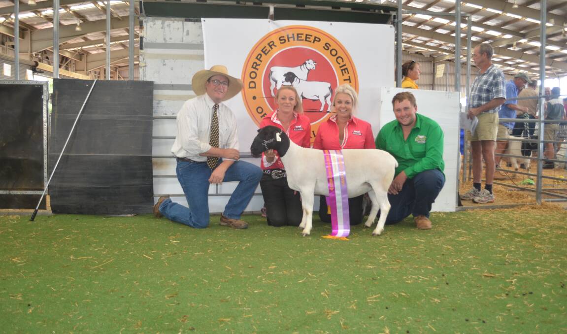 Justin Kirkby, Joanna Dixon, Cherilyn Lowe and sponsor Mitchell Deeves with the grand champion Dorper ewe.