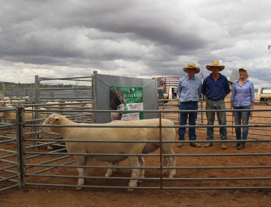 Angus Stuart, Milling Stuart, Dunedoo, Simon Archer, Merrygoen and Christine O'Leary, Narranmore with the two top priced rams.