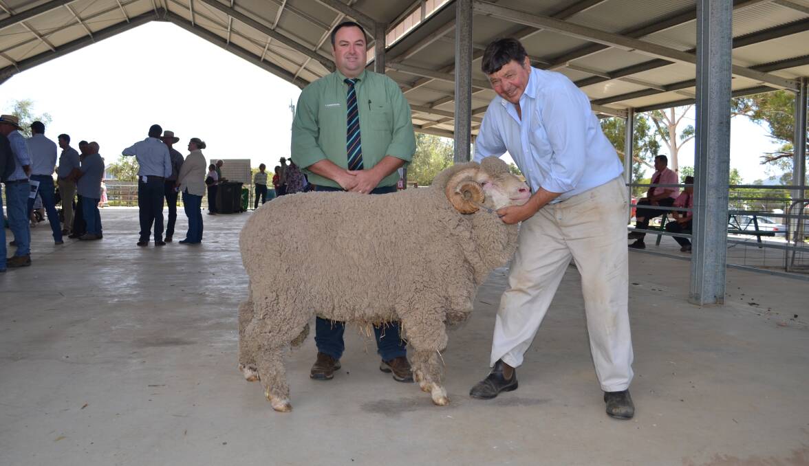 Confidence is booming in the wool industry. Wal Merriman, Merryville Stud, Boorowa, and Brad Wilson, Landmark Stud Stock, Dubbo with the $17,000 ram which is heading to Beverly Merino stud, Redesdale, Victoria. 