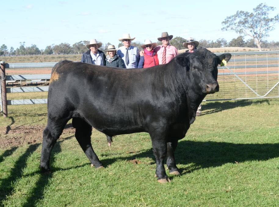Rob and Cathie Colless, Come-by-Chance, Ewan and Marg McLeish, Outwest Angus with Brian Kennedy and Matthew Prentice, Elders with the top priced bull.