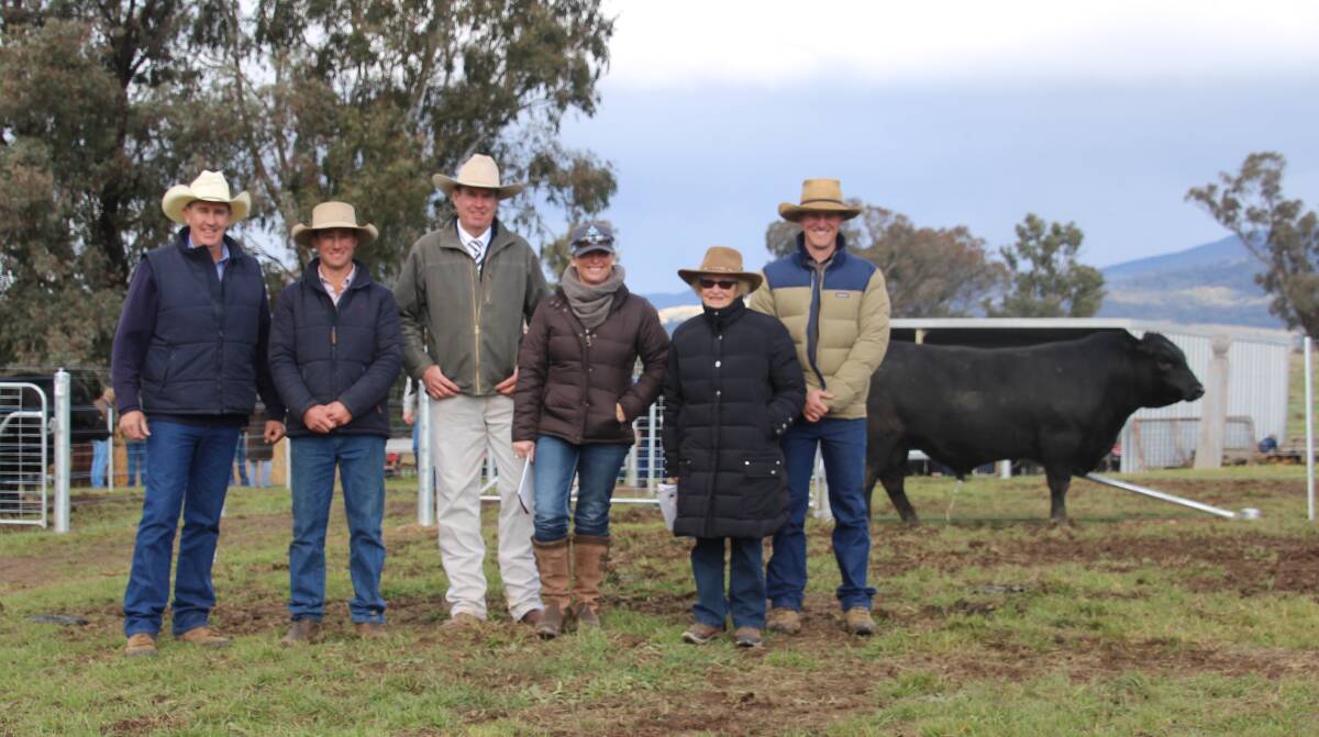 Bill Lawson, McDonald Lawson, Harry White, auctioneer Paul Dooley, Maria and Betty Roche and Jack White of Coffin Creek with the top priced bull.