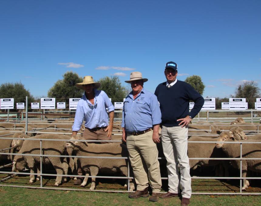 John Naden of Macquarie Dohnes, agent Chris Clemson, Walgett, and auctioneer Paul Dooley, Tamworth, with the top priced ram.