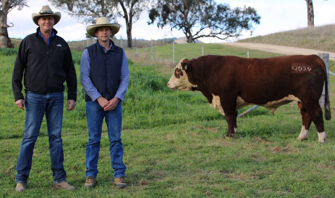 Sam Broinowski, Vielun Pastoral Company, Mudgee and Andy Carter, McDonald Lawson Carter, Mudgee with the $14,000 top-priced Poll Hereford bull, VP Endure Q039, bought by Matt and Emma Cheetham, Gulgong. Photo: supplied