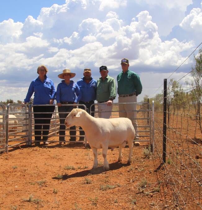 Megan, Emily and Andrew Mosely with John Settree and Luke Scales, Nutrien Ag with the top priced ram.