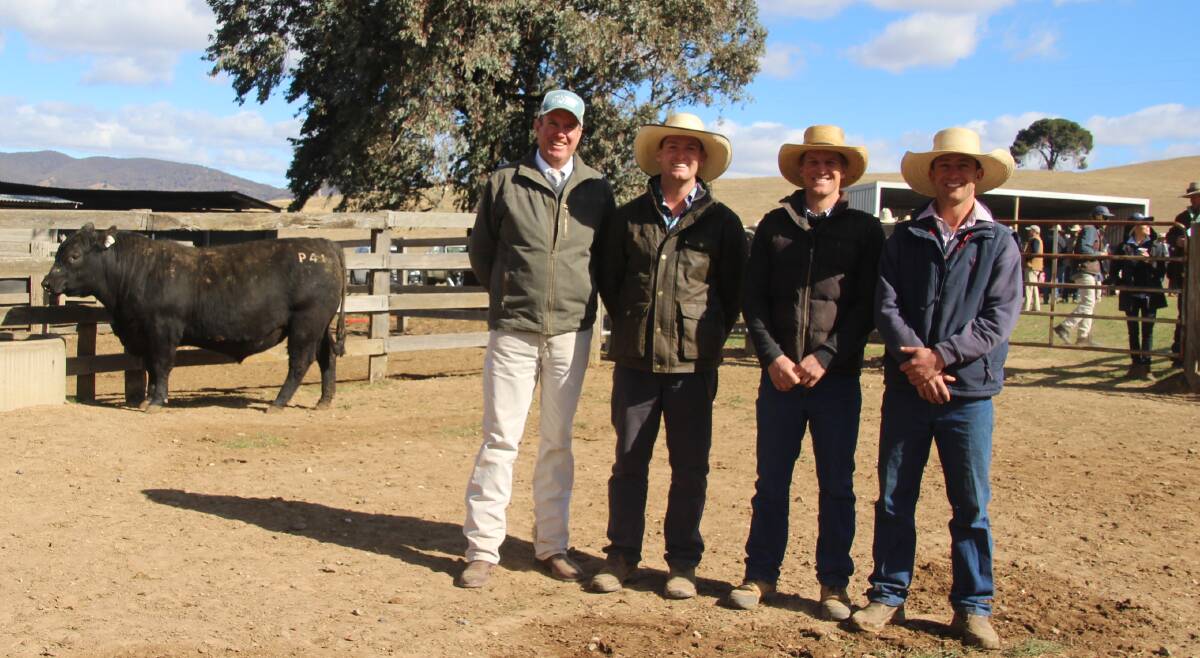 Paul Dooley, Auctioneer, Dougal Kelly, Wallah, Rugby, Harry and Jack White, Coffin Creek Angus, with the $15,000 bull at the eighth annual bull sale for Coffin Creek. 