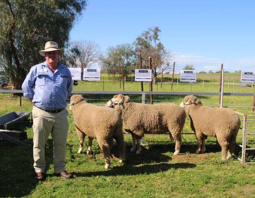 Chris Clemson, Clemson Hiscox and Co, Walgett inspecting the first three lots of the sale.