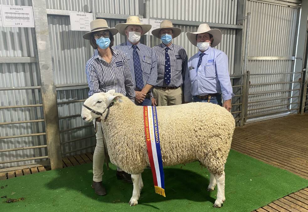 Reg and Robyn Sweeney with the top-priced ram B200284 which sold for $12,000 with Angus Stuart, Milling Stuart, Dunedoo, and Jason Hartin, Hartin Schute Bell. Photo: supplied