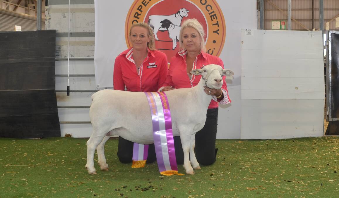 Joanna Dixon and Cherilyn Lowe, Nomuula Dorpers and White Dorpers, with the grand champion White Dorper ewe. They were the most successful exhibitors.